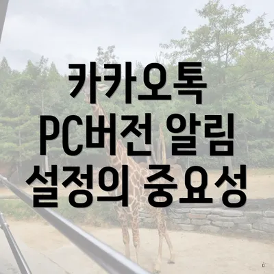 카카오톡 PC버전 알림 설정의 중요성