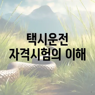 택시운전 자격시험의 이해