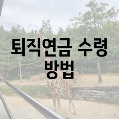 퇴직연금 수령 방법