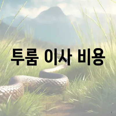 투룸 이사 비용