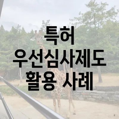 특허 우선심사제도 활용 사례