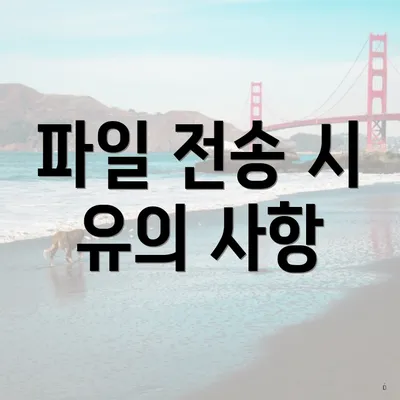 파일 전송 시 유의 사항