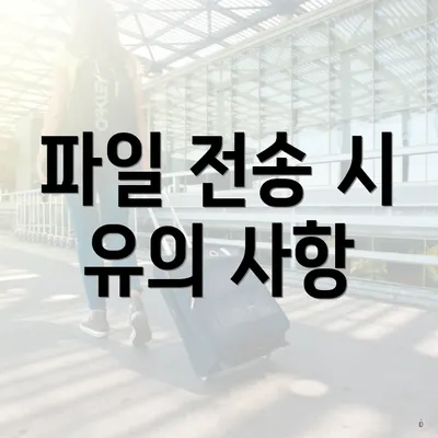 파일 전송 시 유의 사항