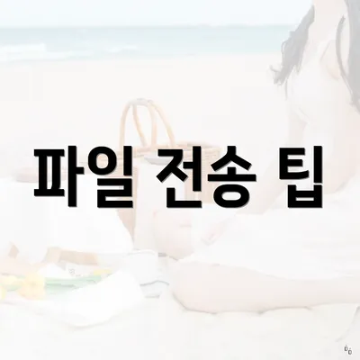 파일 전송 팁