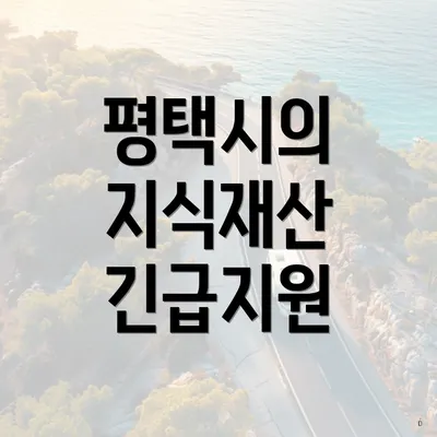 평택시의 지식재산 긴급지원