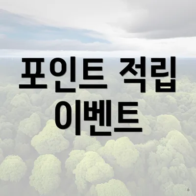 포인트 적립 이벤트