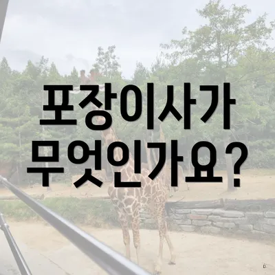 포장이사가 무엇인가요?