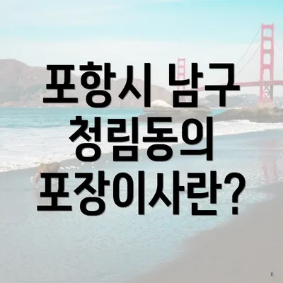 포항시 남구 청림동의 포장이사란?
