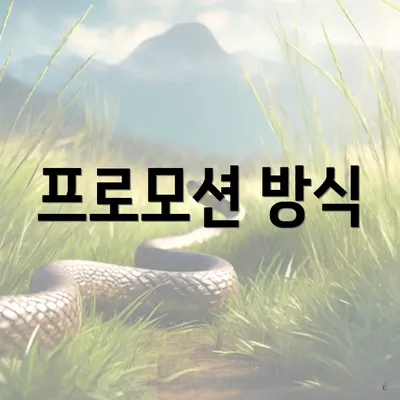 프로모션 방식