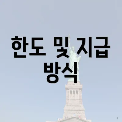 한도 및 지급 방식