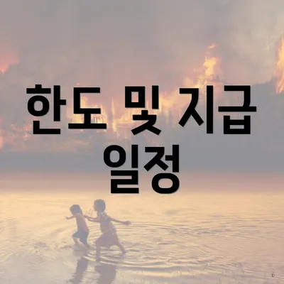 한도 및 지급 일정