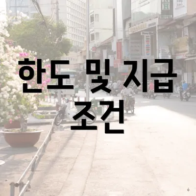 한도 및 지급 조건