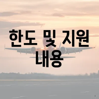 한도 및 지원 내용