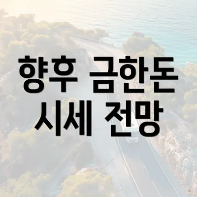 향후 금한돈 시세 전망