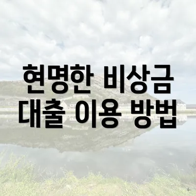 현명한 비상금 대출 이용 방법