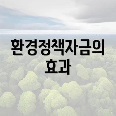 환경정책자금의 효과