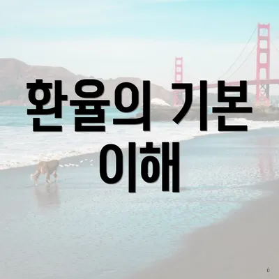 환율의 기본 이해