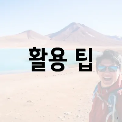 활용 팁