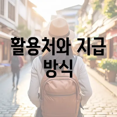 활용처와 지급 방식