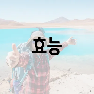 효능