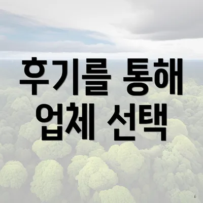 후기를 통해 업체 선택