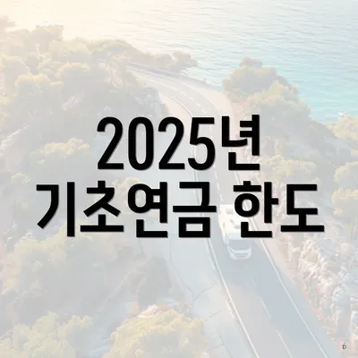 2025년 기초연금 한도
