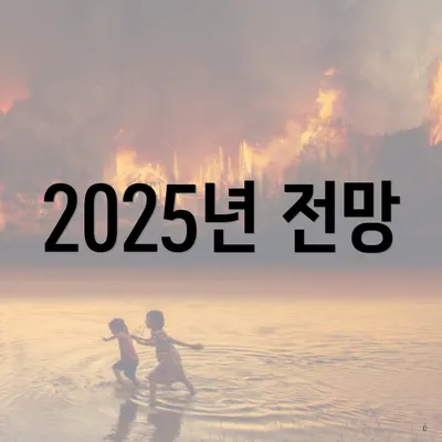 2025년 전망