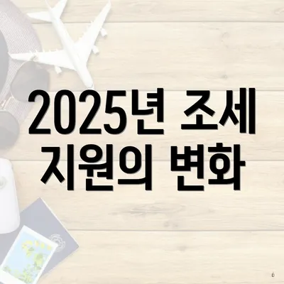 2025년 조세 지원의 변화