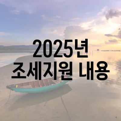 2025년 조세지원 내용
