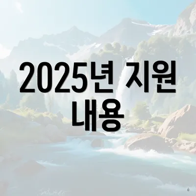 2025년 지원 내용