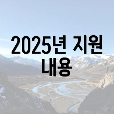 2025년 지원 내용