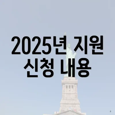 2025년 지원 신청 내용