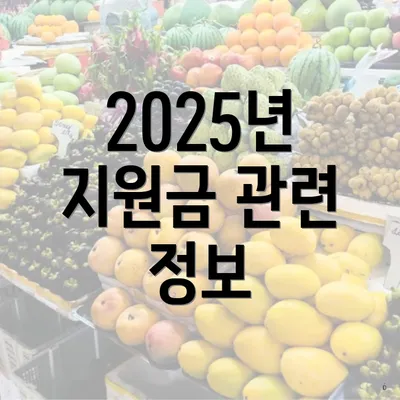 2025년 지원금 관련 정보