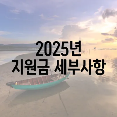 2025년 지원금 세부사항