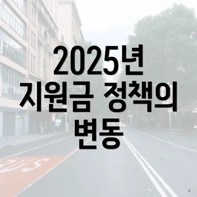 2025년 지원금 정책의 변동