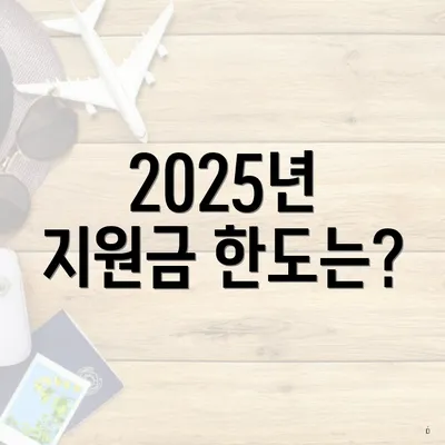 2025년 지원금 한도는?