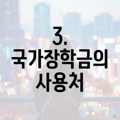 3. 국가장학금의 사용처