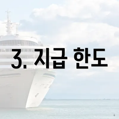 3. 지급 한도