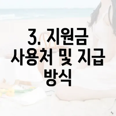 3. 지원금 사용처 및 지급 방식
