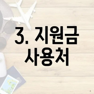 3. 지원금 사용처