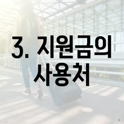 3. 지원금의 사용처