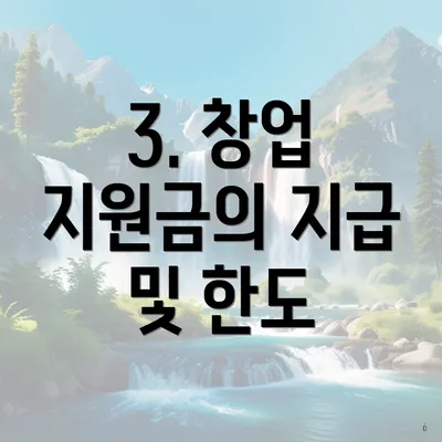 3. 창업 지원금의 지급 및 한도