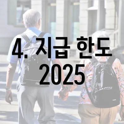 4. 지급 한도 2025