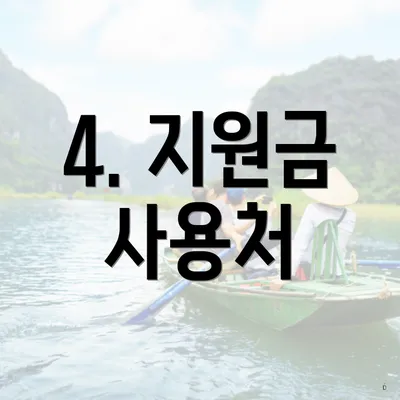 4. 지원금 사용처