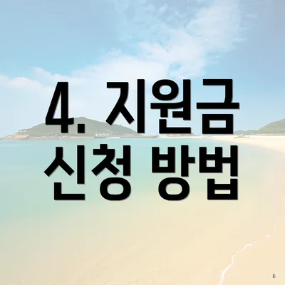 4. 지원금 신청 방법