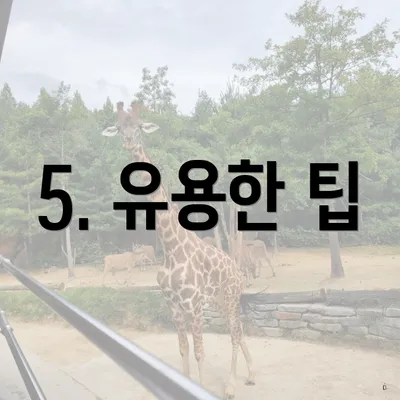 5. 유용한 팁
