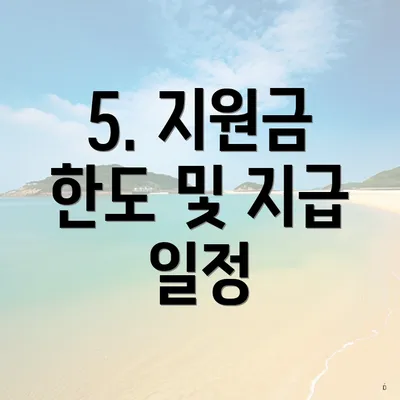 5. 지원금 한도 및 지급 일정