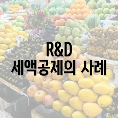 R&D 세액공제의 사례