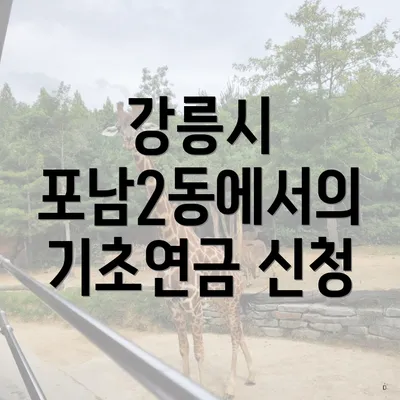 강릉시 포남2동에서의 기초연금 신청
