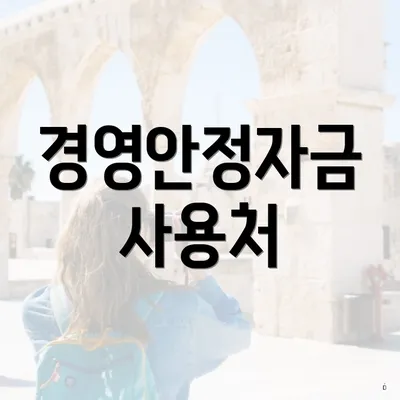 경영안정자금 사용처